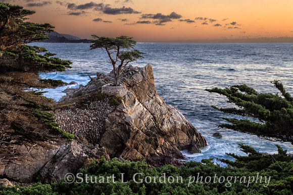 Lone Cypress at Sunset_0563_to_0566
