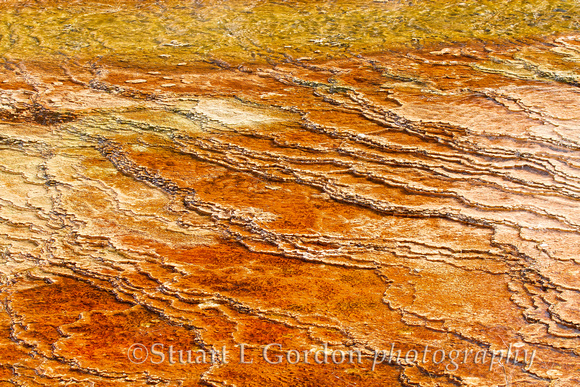Yellowstone Abstract III