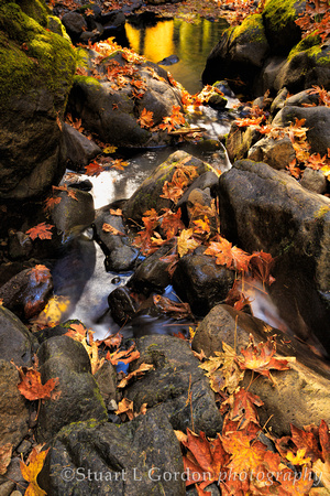 Fall Creek in Autumn_0088_89