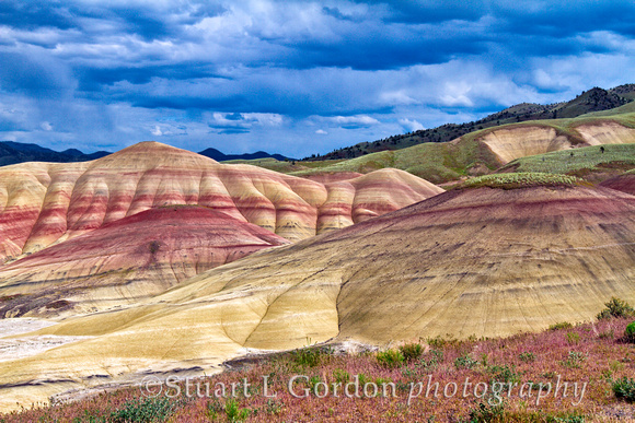 Painted Hills_1087 copy