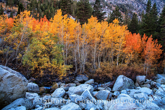 Fall in Bishop Creek Canyon_20121004_0515