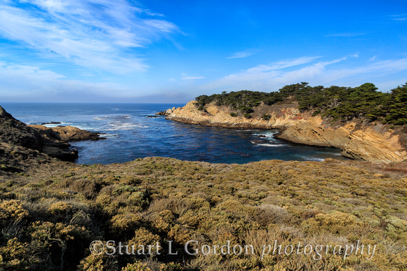 Point Lobos2013_0005