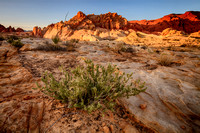 Sunrise in the Valley of Fire_130305_0024