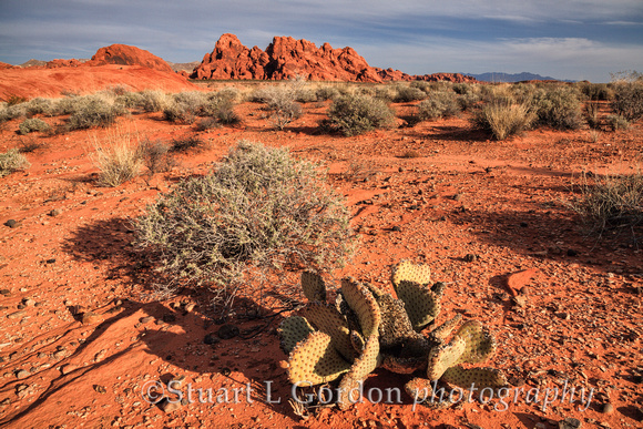 Valley of Fire_0074_0075