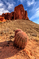 Cactus & Red Rock, Valley of Fire_130305_0159
