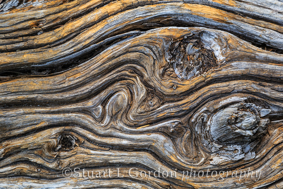 Driftwood Abstract_0104220913