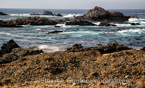 Point Lobos 2013_0033