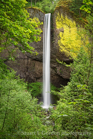 Columbia Gorge Waterfalls, Latourell Falls_1987